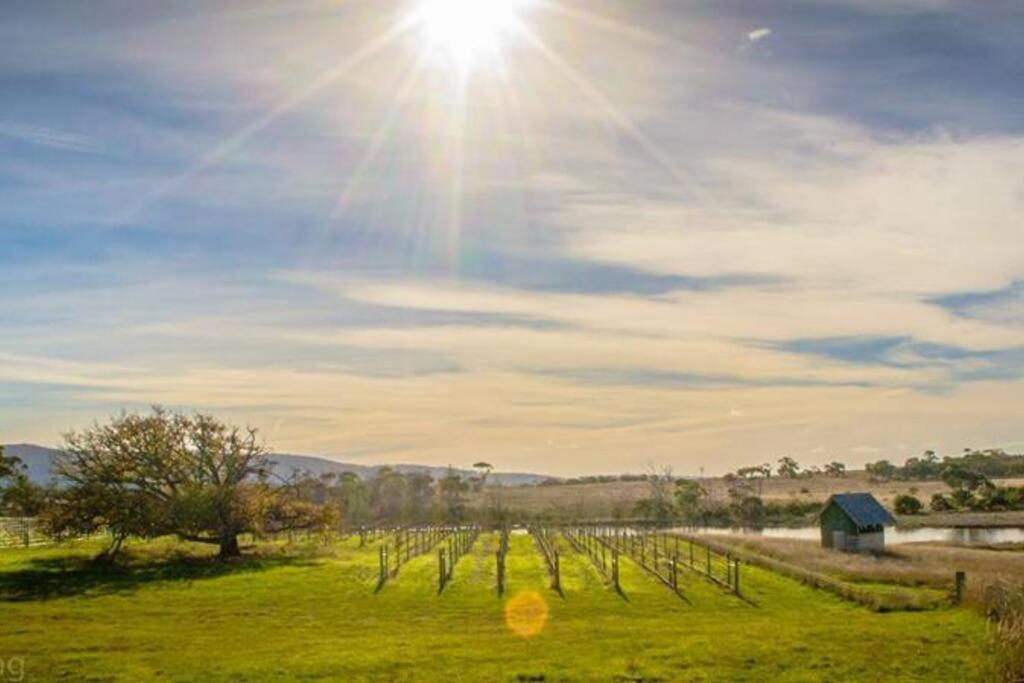 *Newly Relisted* Coach House At Lisdillon Vineyard Villa Little Swanport Екстериор снимка